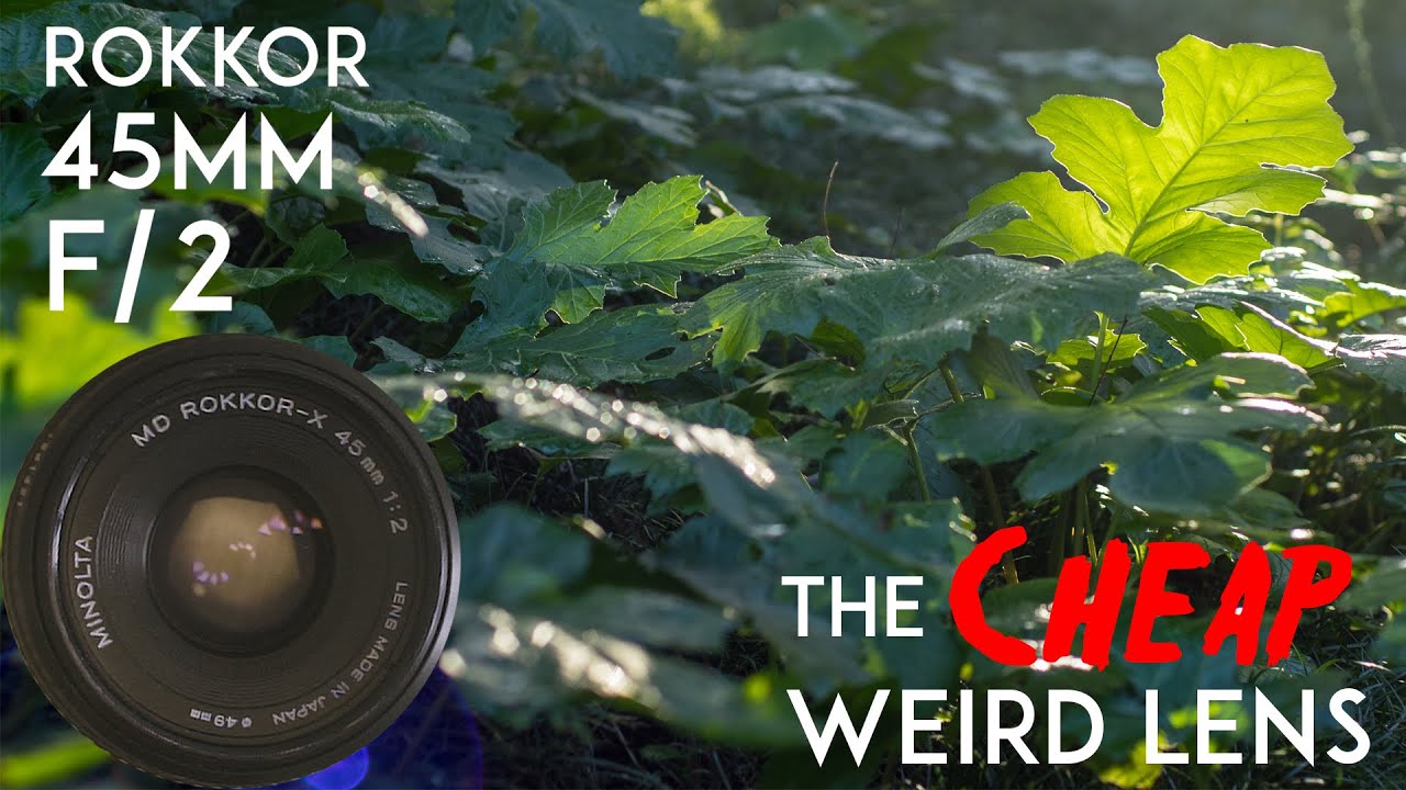 Rokkor 45mm f/2 - The Cheap Weird  Lens