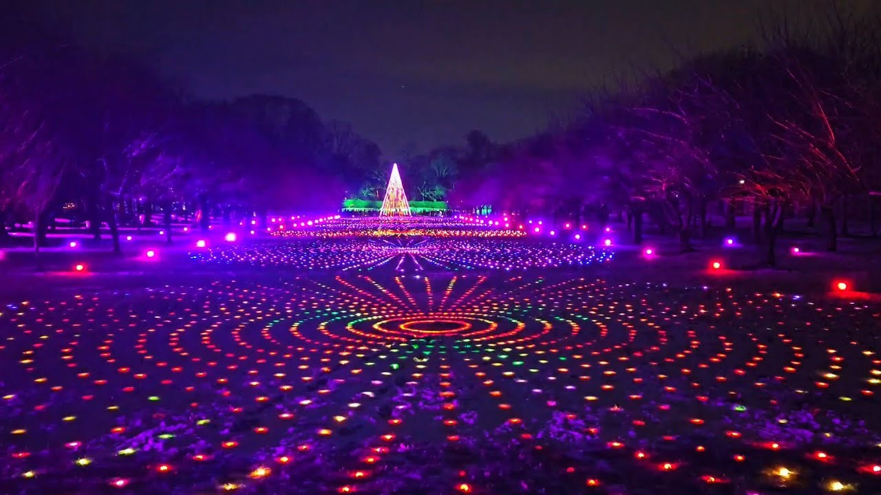 A Dazzling display, lightscape at BBG KefamC