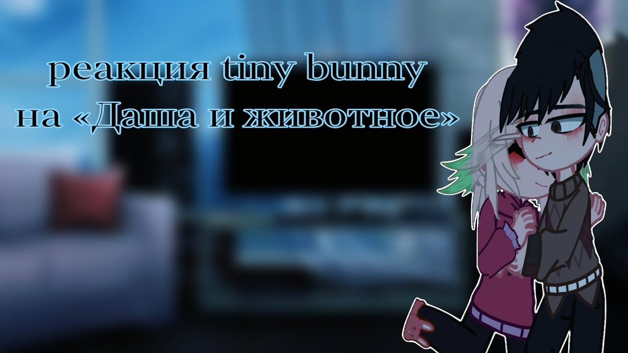реакция tiny bunny на «Даша и животное» // прочитайте описание