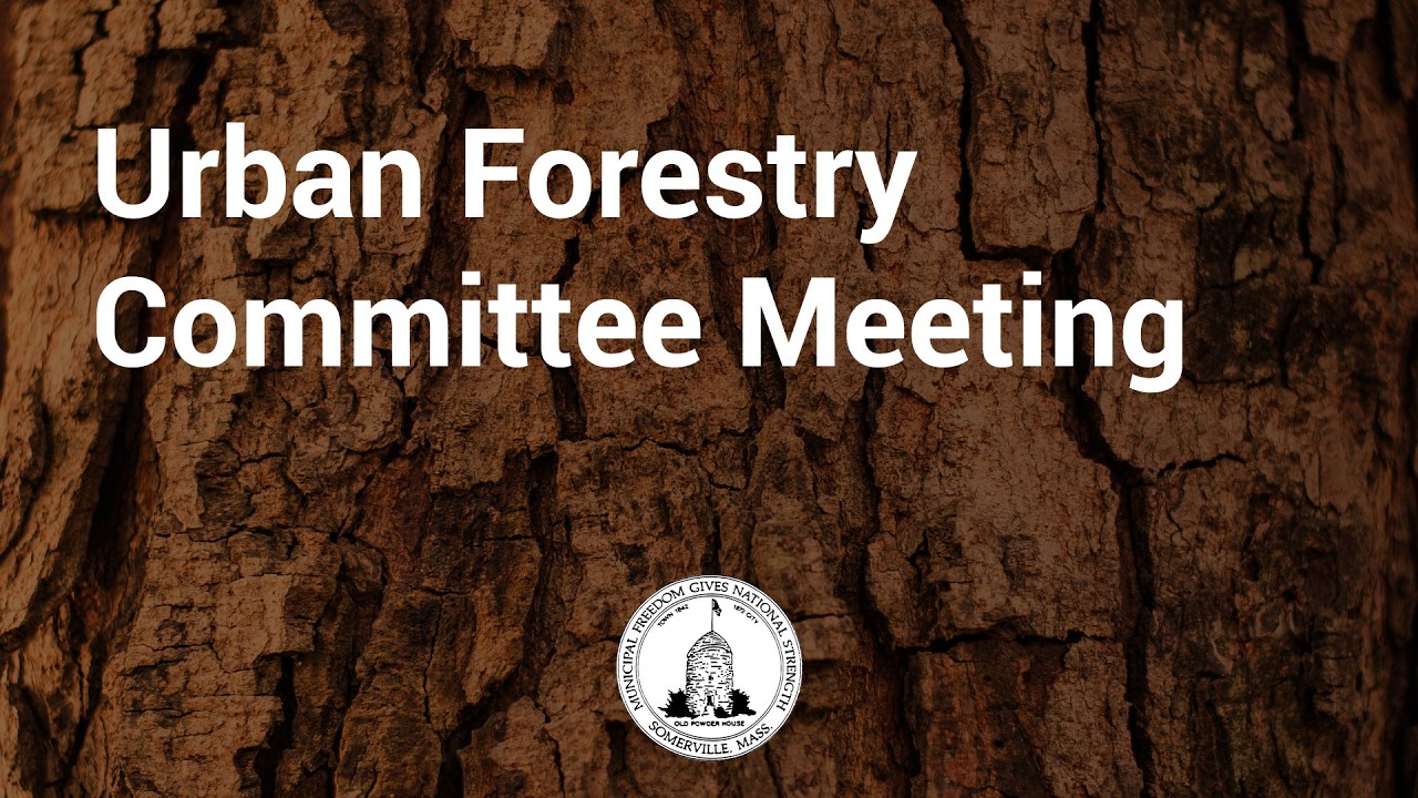 Somerville Urban Forestry Committee Meeting 1-15-2026