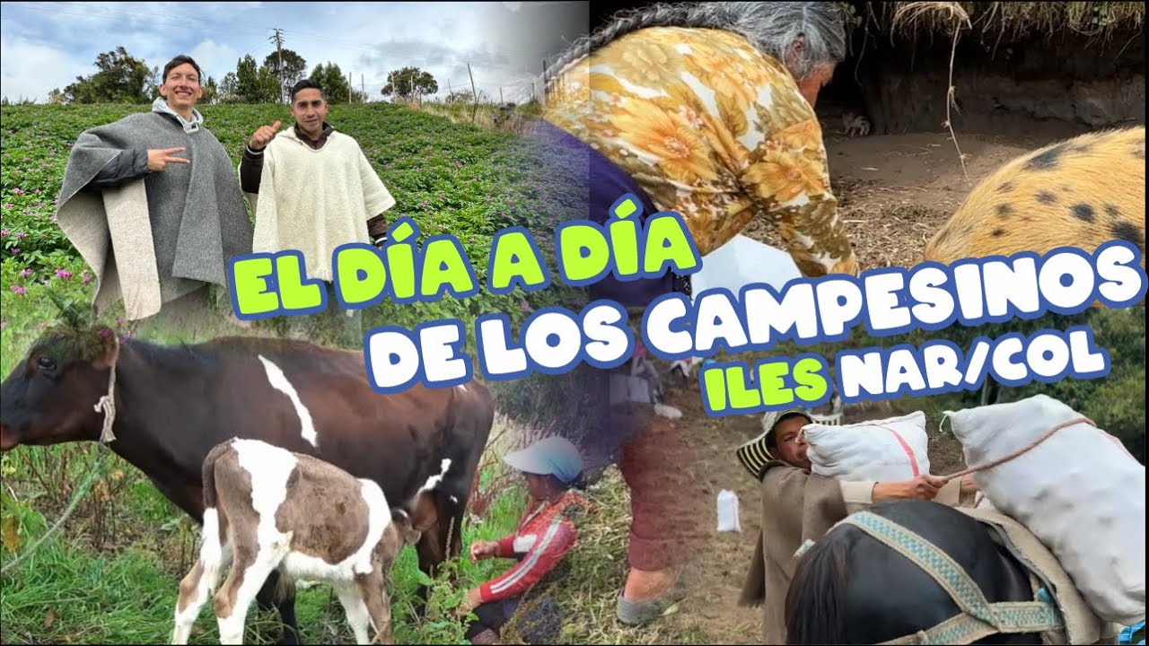 Así es el día a día de los Campesinos en iles | YeiGuerramM