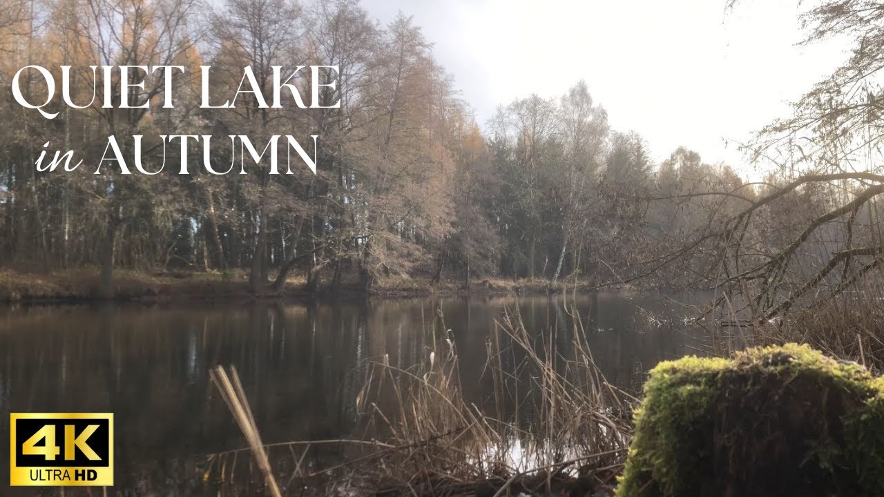 Serene Autumn Escape - Deep Relaxation in the Forest