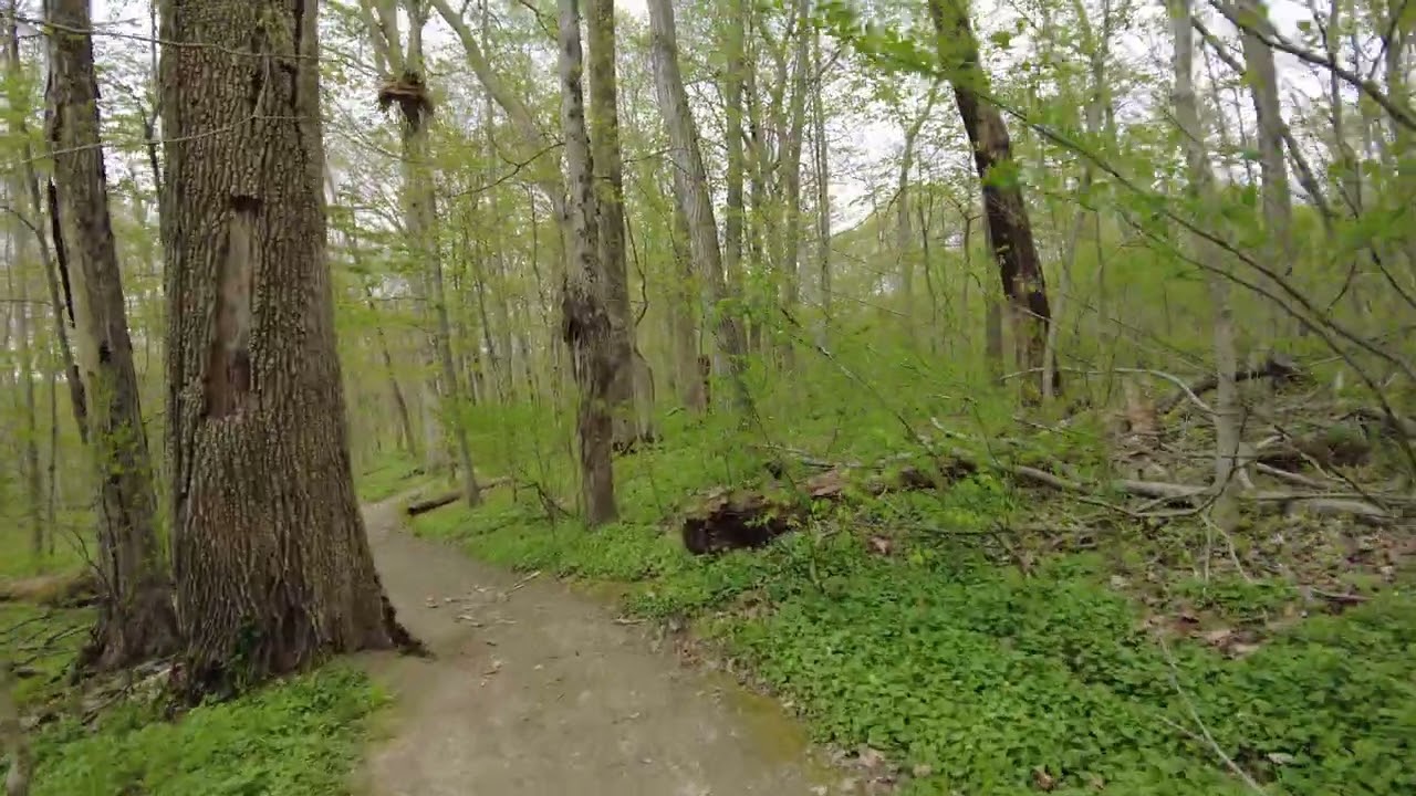 Spring hiking through Rowe Woods | Cincinnati | OSMO DJI Pocket3