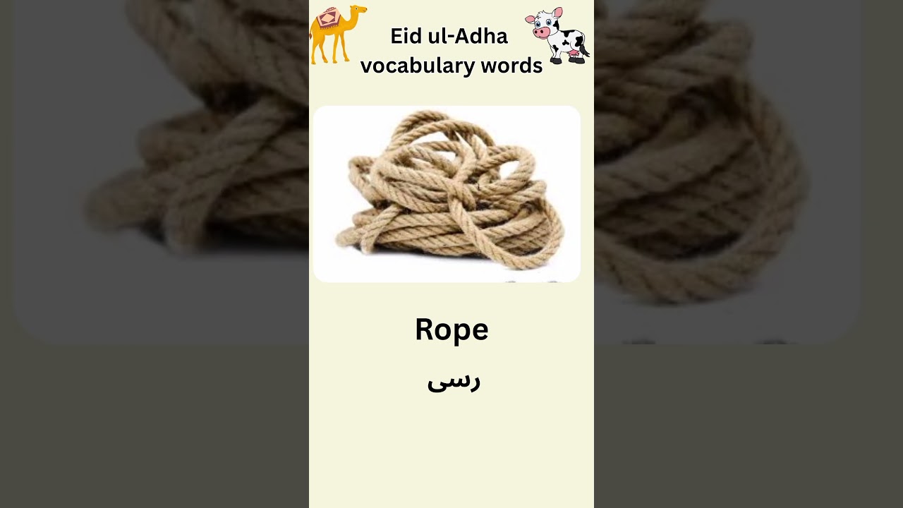 Eid ul Adha Vocabulary Words | English Vocabulary Words 