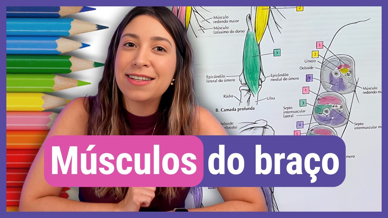 MÚSCULOS DO BRAÇO: Anatomia para colorir!