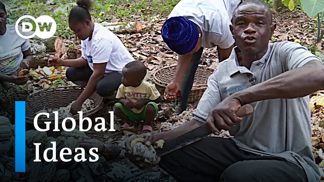 Ghana: Das Sterben der Kakaoplantagen | Global Ideas