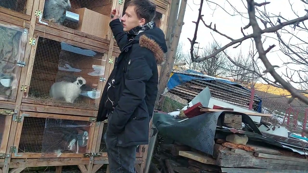 Straty w Hodowli!! Zakocone samiczki