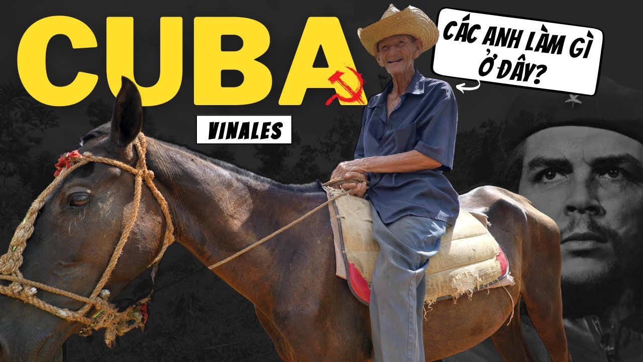 Nông Dân Cuba Trồng Xì-Gà Nghèo Khó Vì Sao?