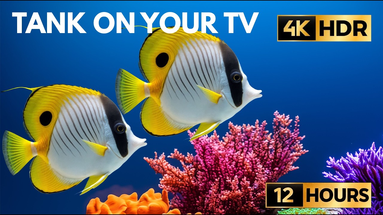 Virtual Reef Aquarium for TV 4K | Water Sounds Only | 12 Hours