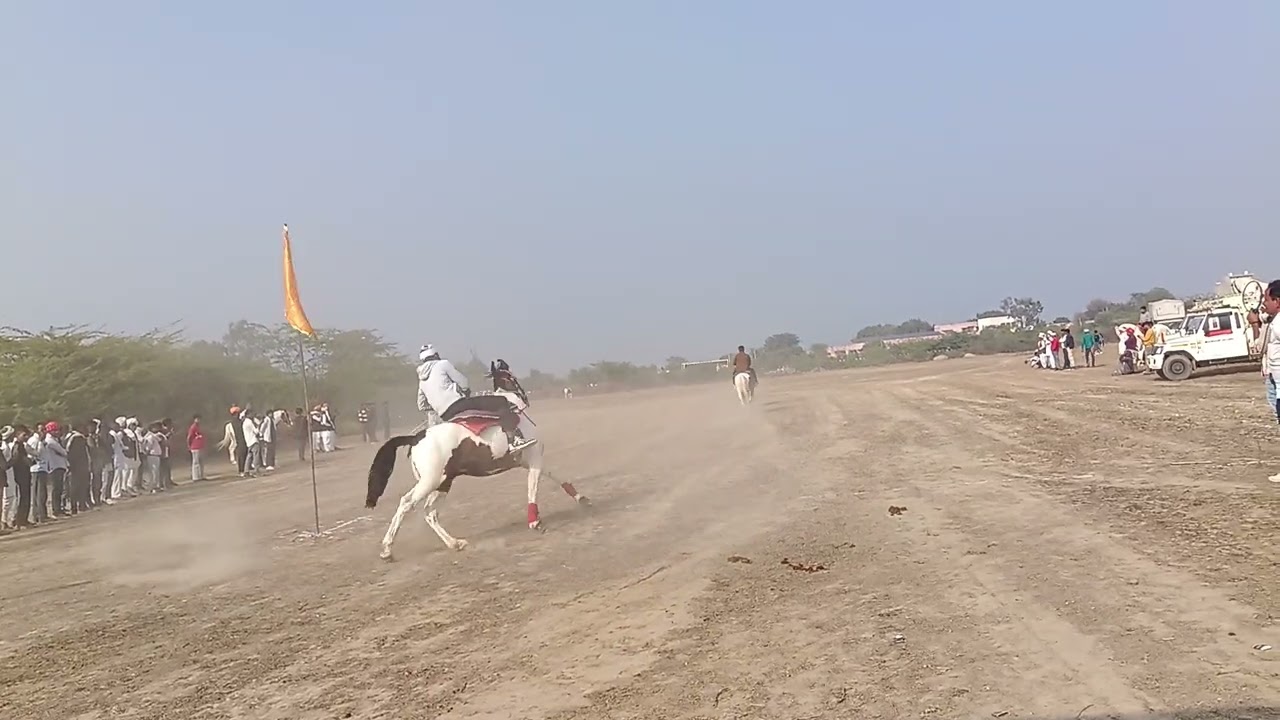 Zerodha Dangal  