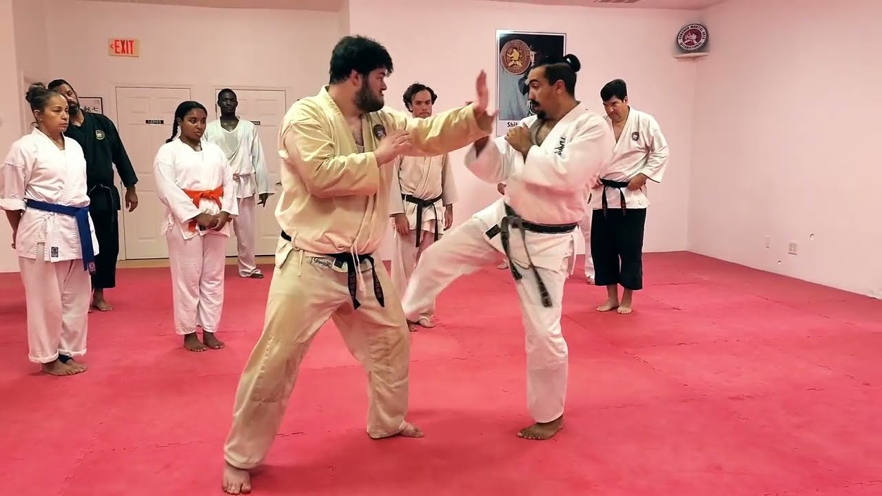 Jujitsu Kicking & Sweeping Combination