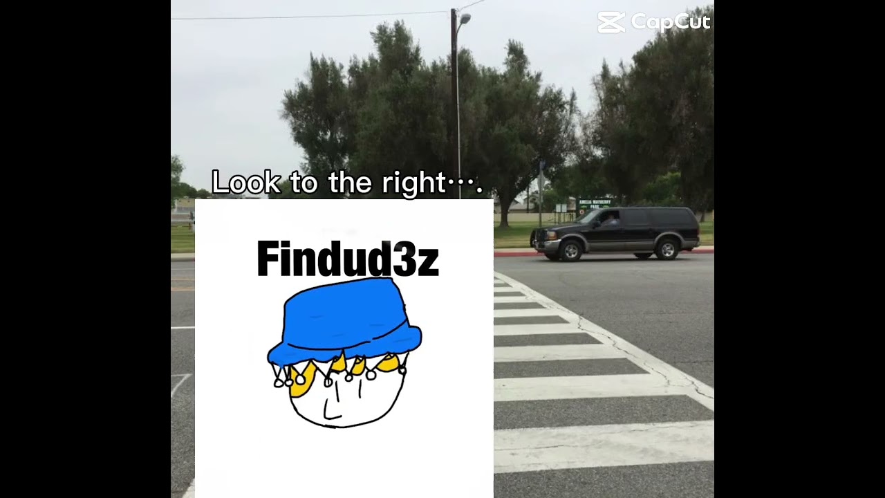 I SWEAR I SAW IT OK?