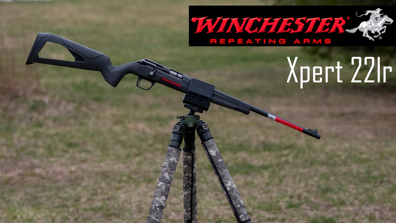 Winchester Xpert Rimfire — первые впечатления