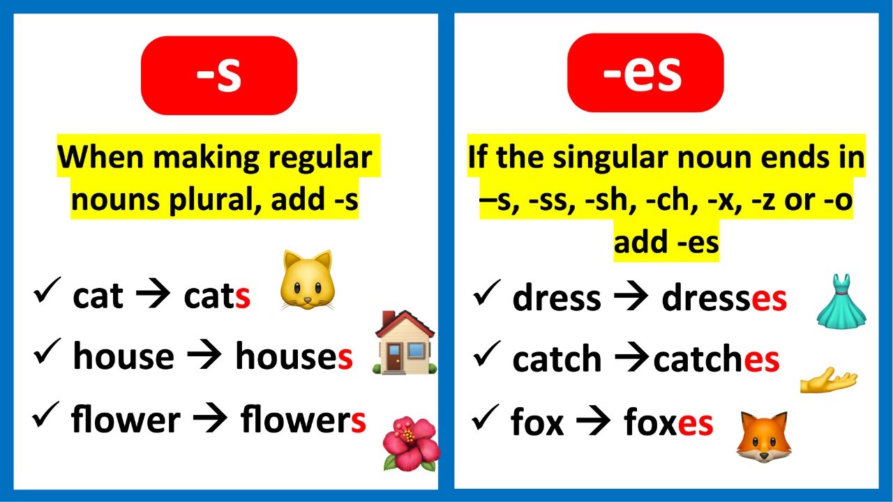 When to use -S or -ES? 🤔 Plural Nouns | Learn with Examples