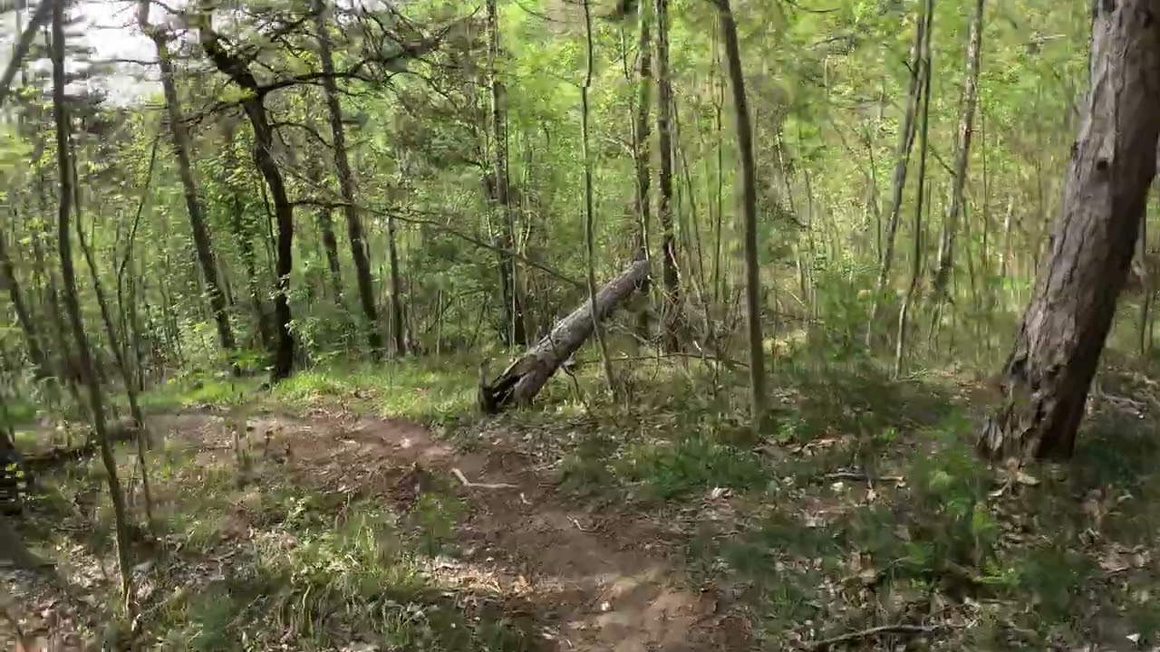 TALAMELLO - 16/4/2025 ENDURO LINE by spettacolo