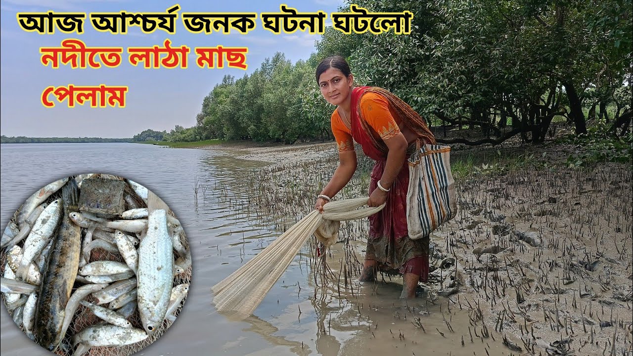 আজ আশ্চর্যজনক ঘটনা ঘটে গেল নদীতে শোল মাছ পেলাম! River fishing || Nandita Sundarban life