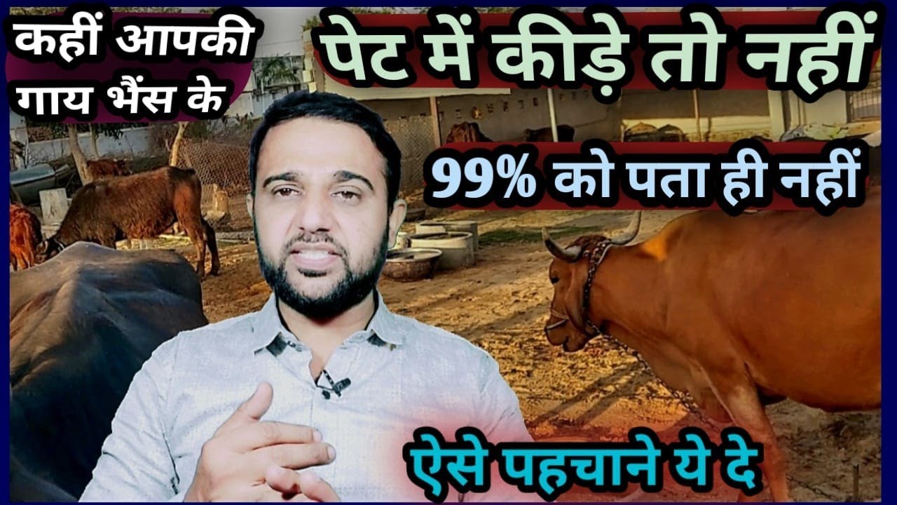 कहीं आपकी गाय भैंस के पेट में कीड़े 🪱तो नहीं👉99% को पता ही नहीं🤔कैसे पहचाने क्या दे Sign of Worms