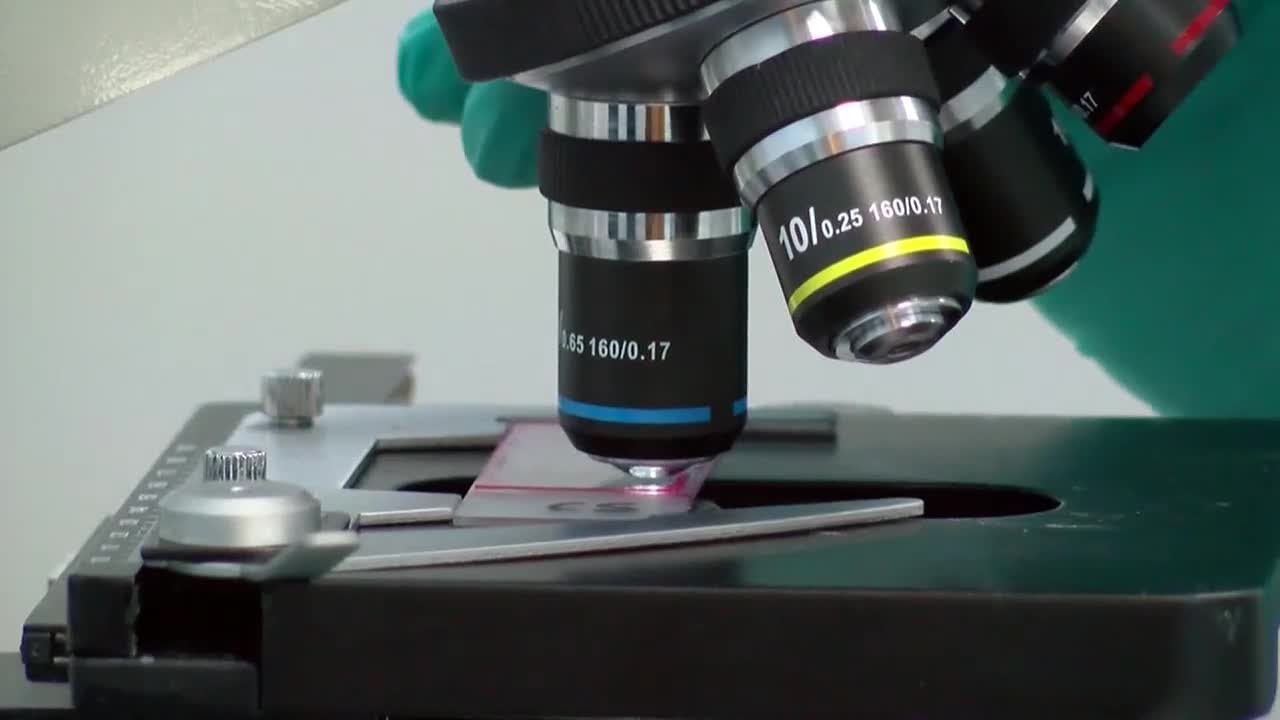 Unvalidated DNA methods among concerning findings in HPD crime lab audit