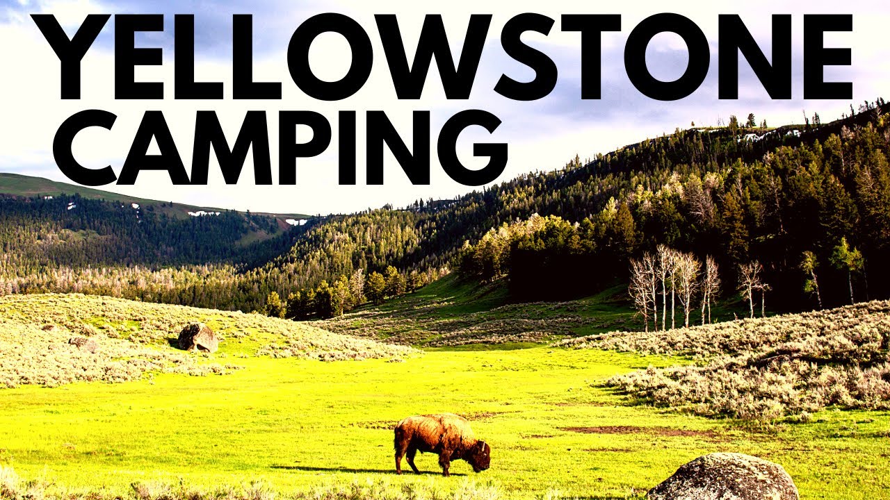 Yellowstone’s Best Campsites + 10 Things You Need to Know