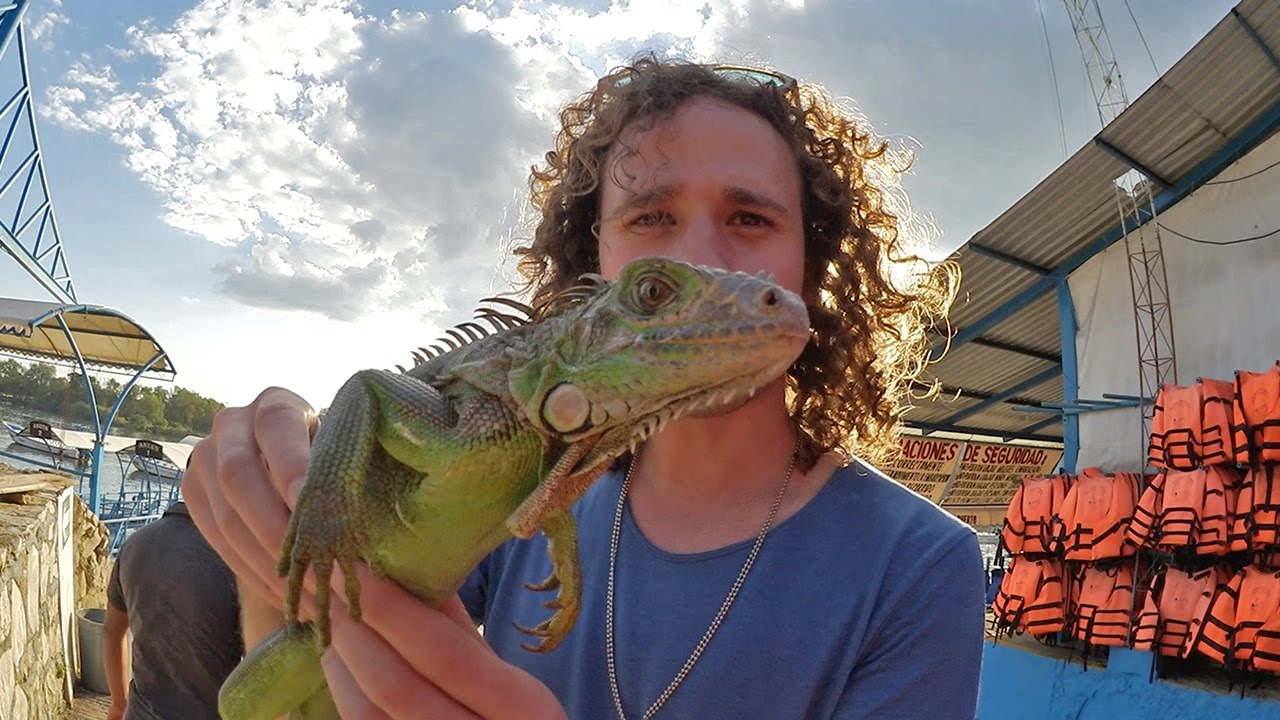 EL REINO DE LOS REPTILES | Chiapas