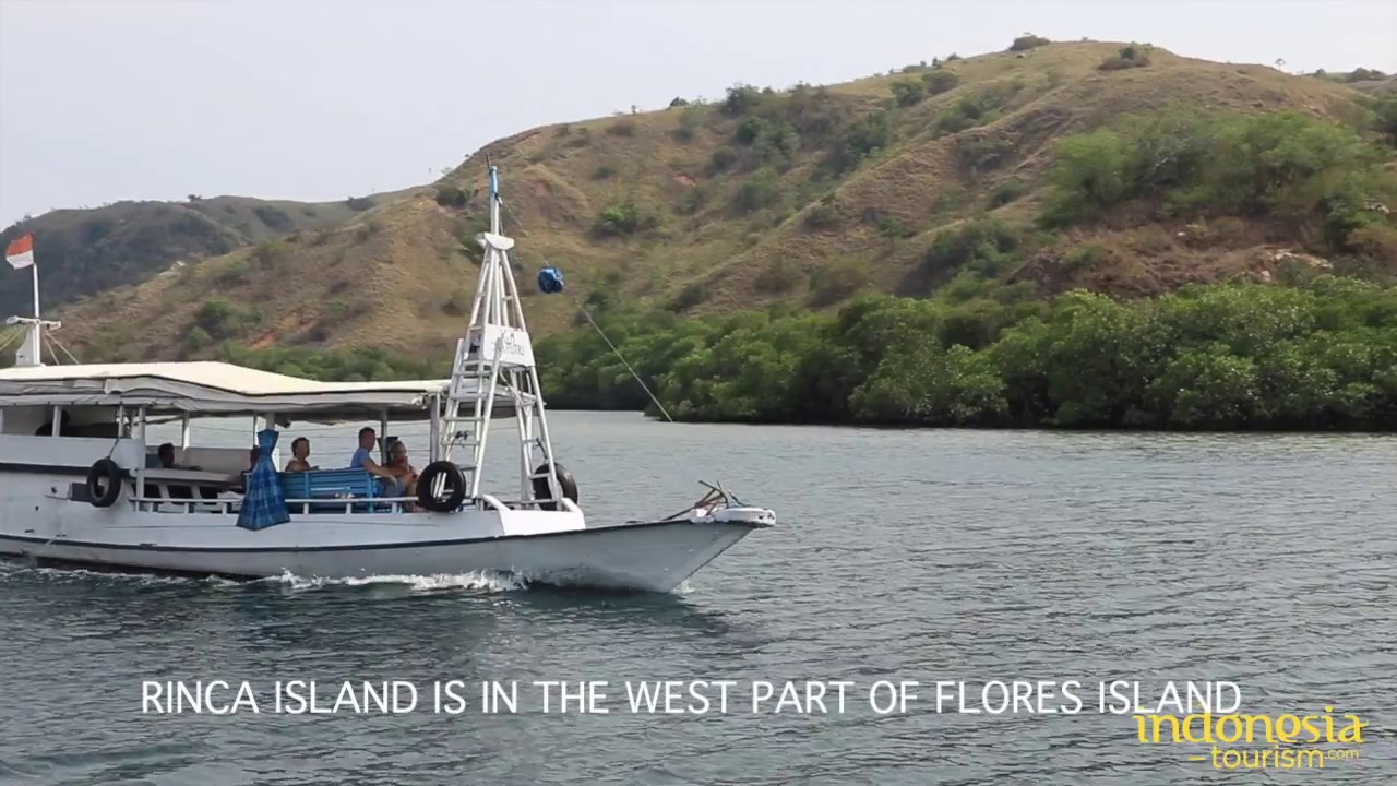 Rinca Island such Like A Reflection of Heaven on Earth