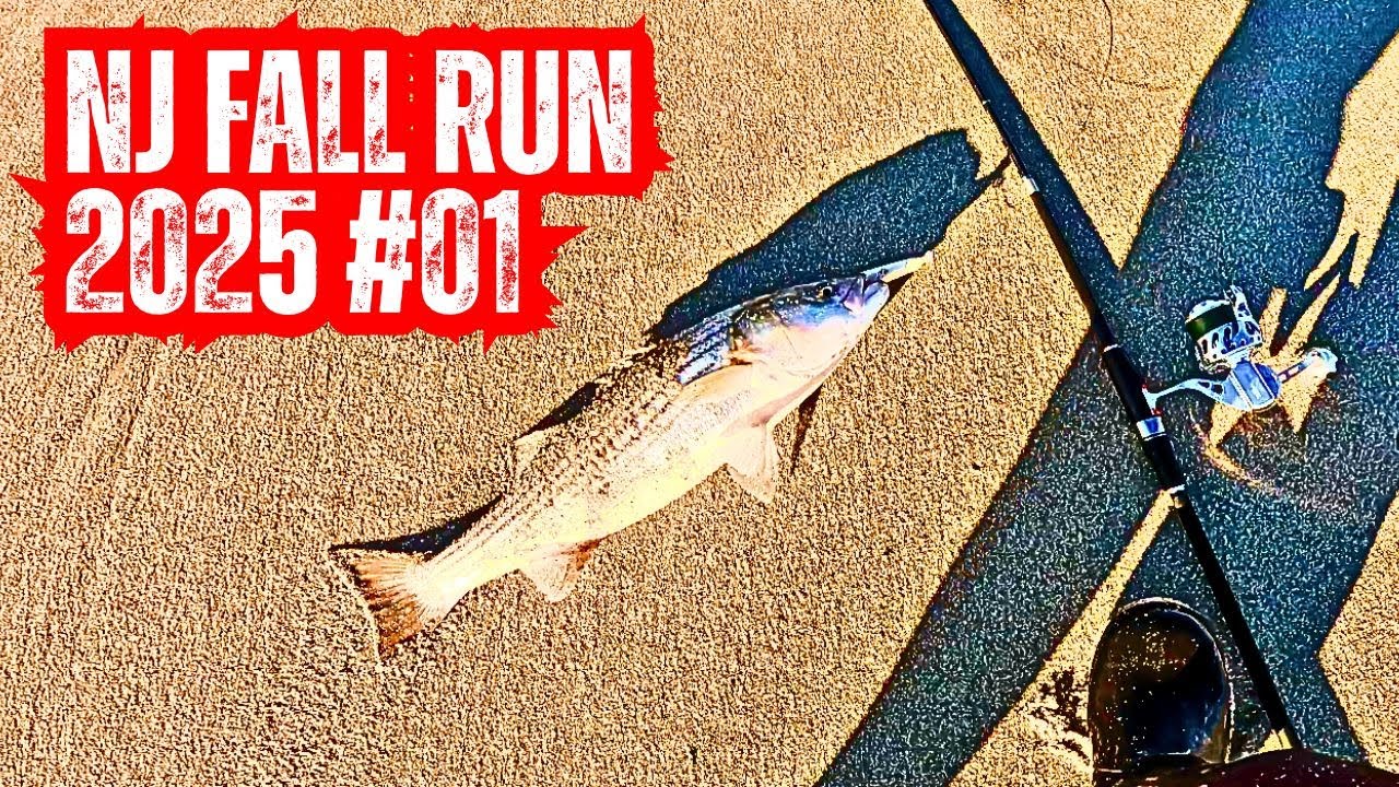 So, it's finally here!  NJ Fall Run 2025!