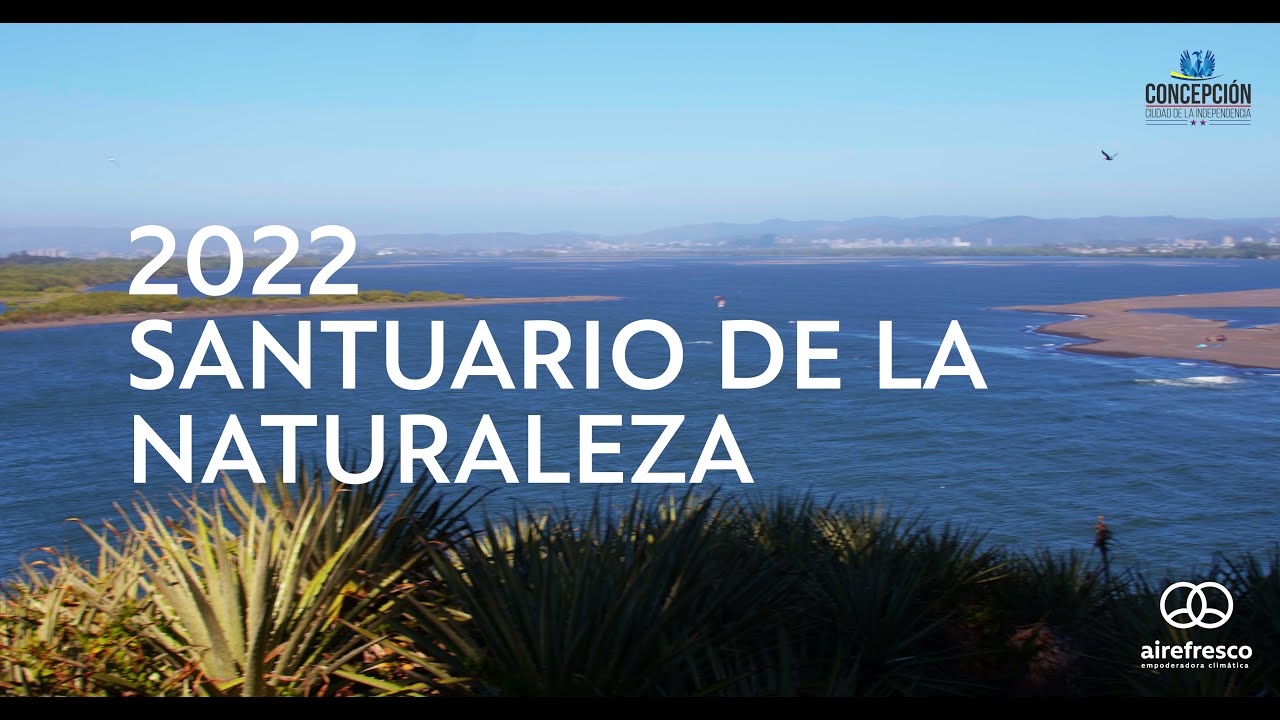 Desembocadura Rio Bio Bio 4k