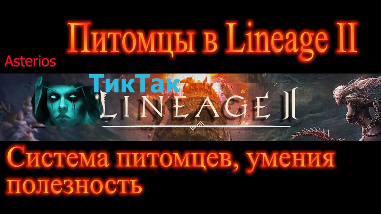 Система питомцев на Астериосе , умения полезность Подробный гайд