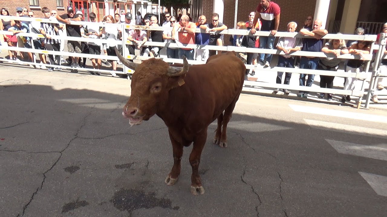 Fiestas de Laguna de Duero 2024
