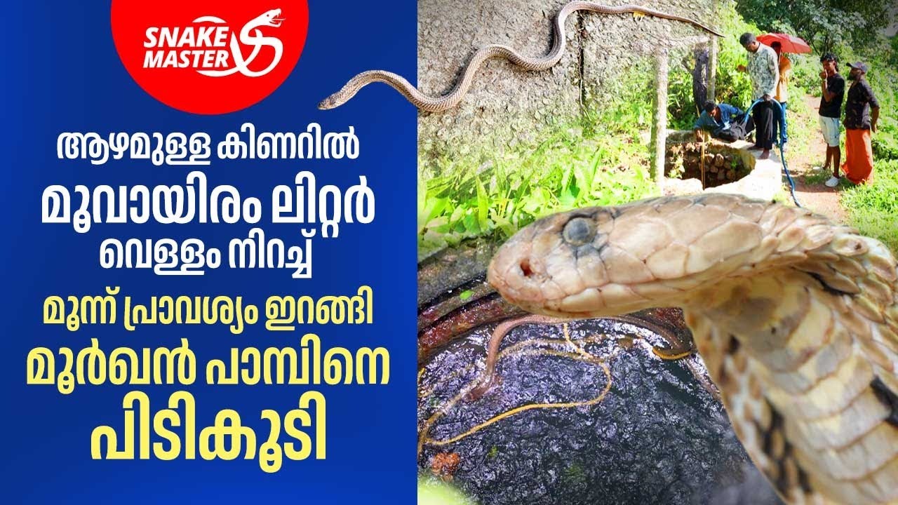മൂവായിരം ലിറ്റർ വെള്ളം നിറച്ചപ്പോൾ നാട്ടുകാരുടെ ഭീതിക്ക് വിരാമമായി | Vava Suresh | Snakemaster 1088