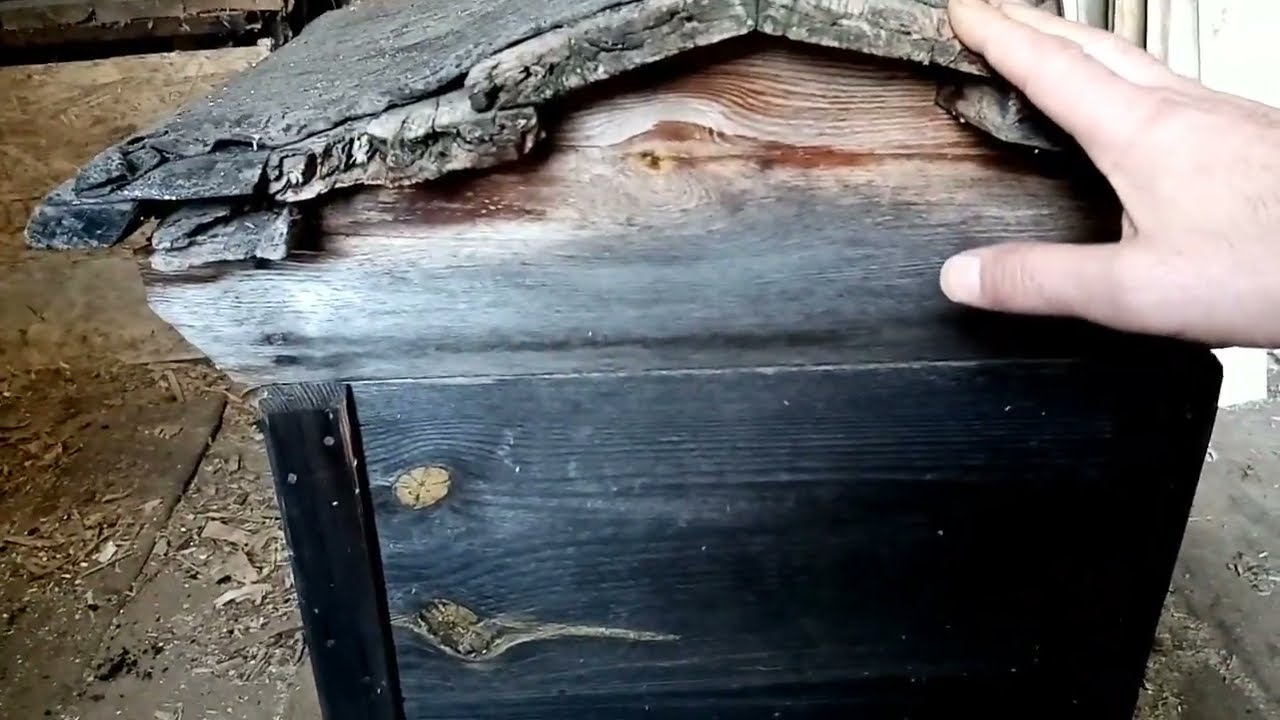 Старый улей который изначально изготовлен правильно.