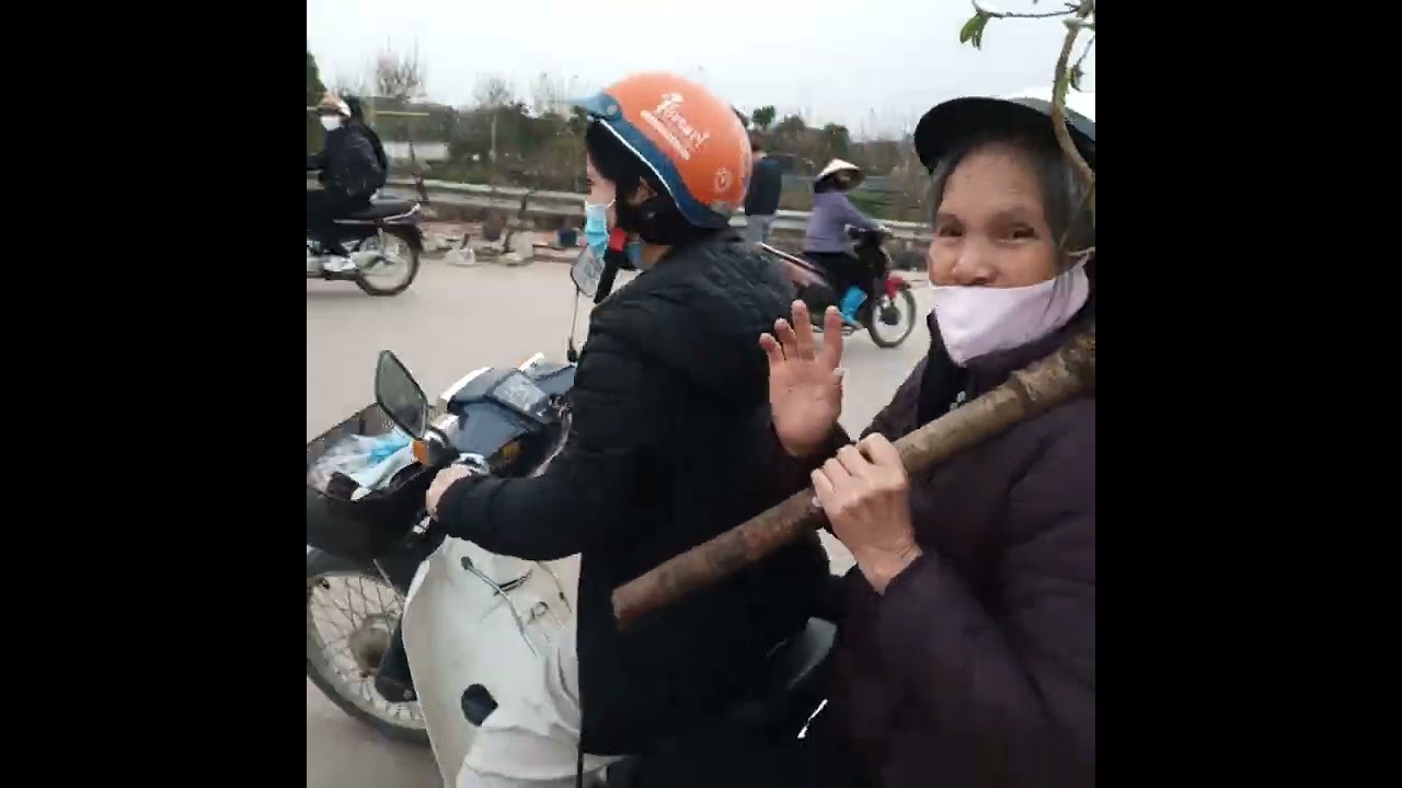 Đào nở hết rồi.