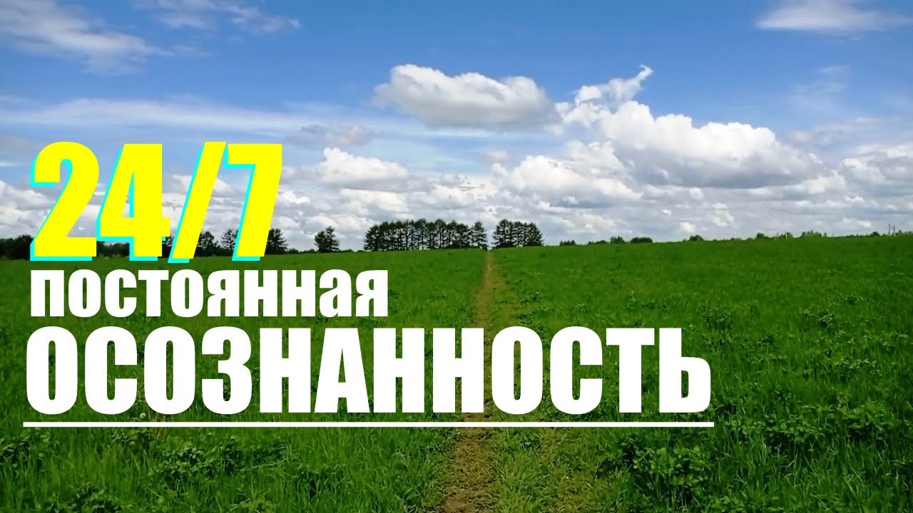 Медитация на природе. Кинхин - ходьба при Дзадзен