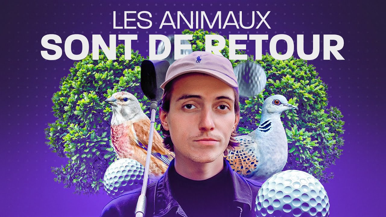 Ce qu'on ne vous a jamais dit sur les terrains de golf