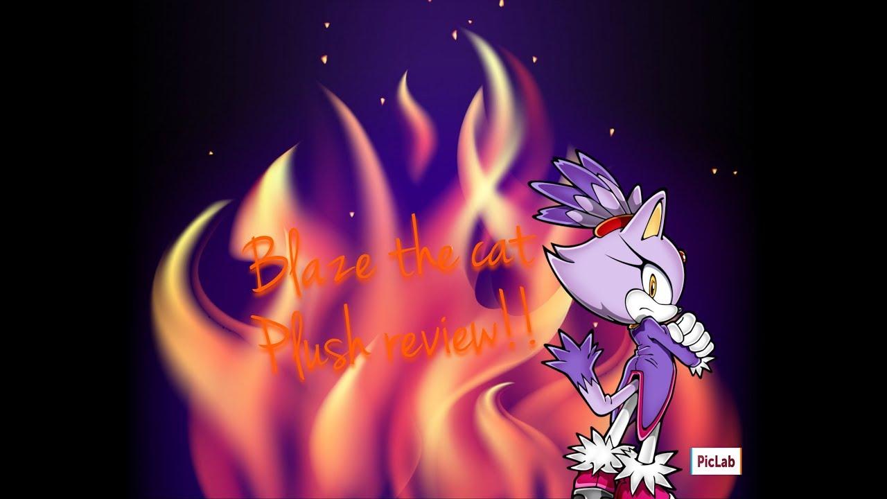 Blaze the cat plush review!!