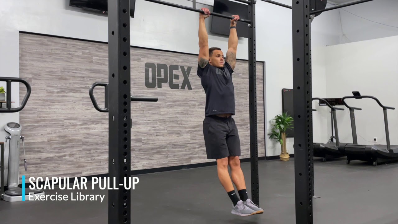 Scapular Pull-Up