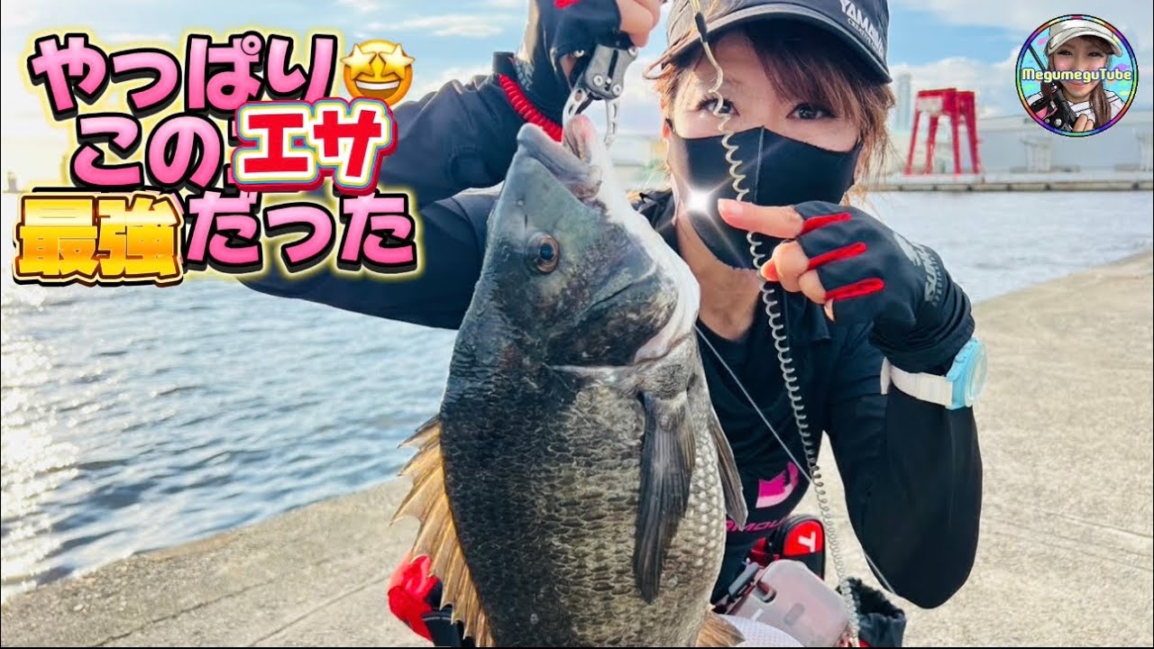 チヌ釣り楽しぎる！あたりエサわかった者勝ち？w【落とし込み】【目印】