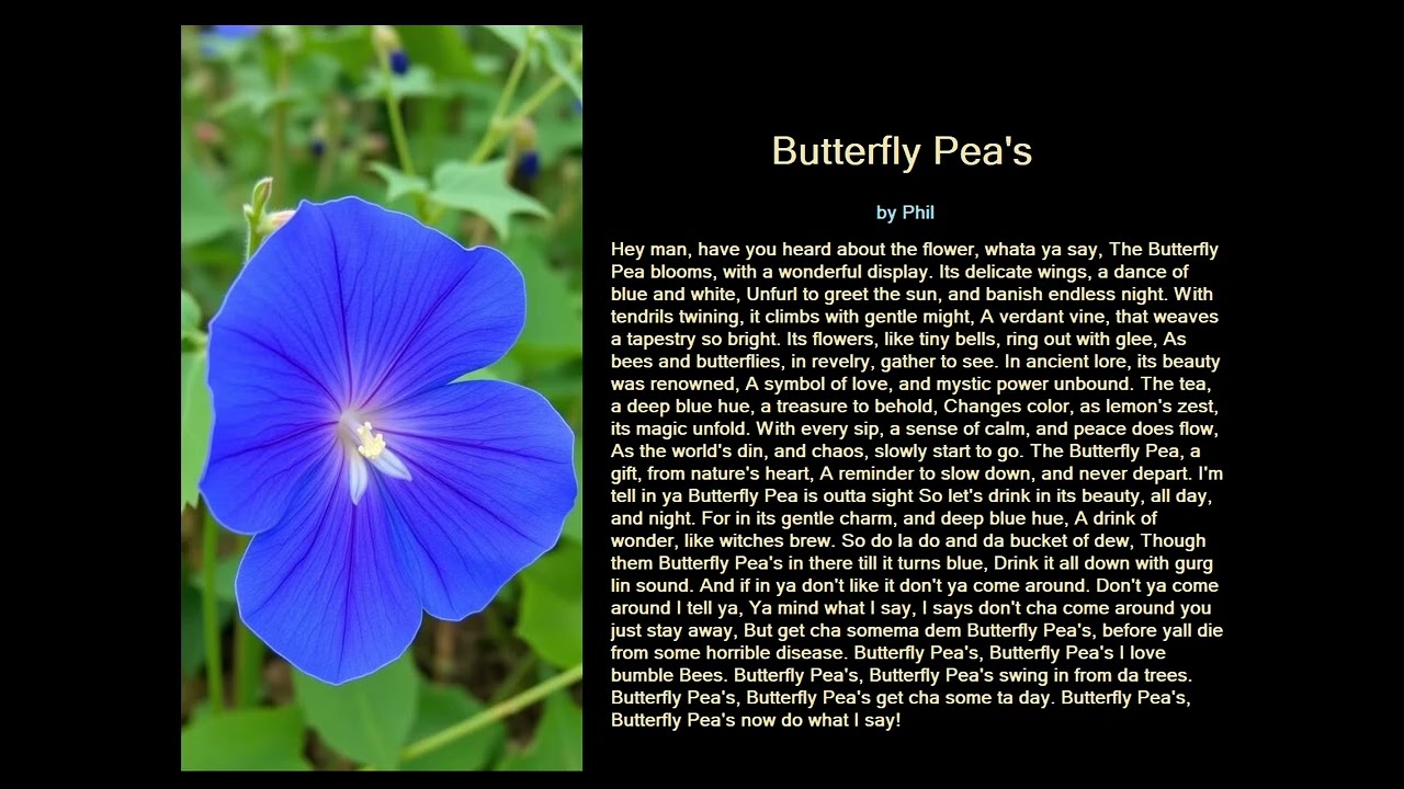 Blue Butterfly Pea