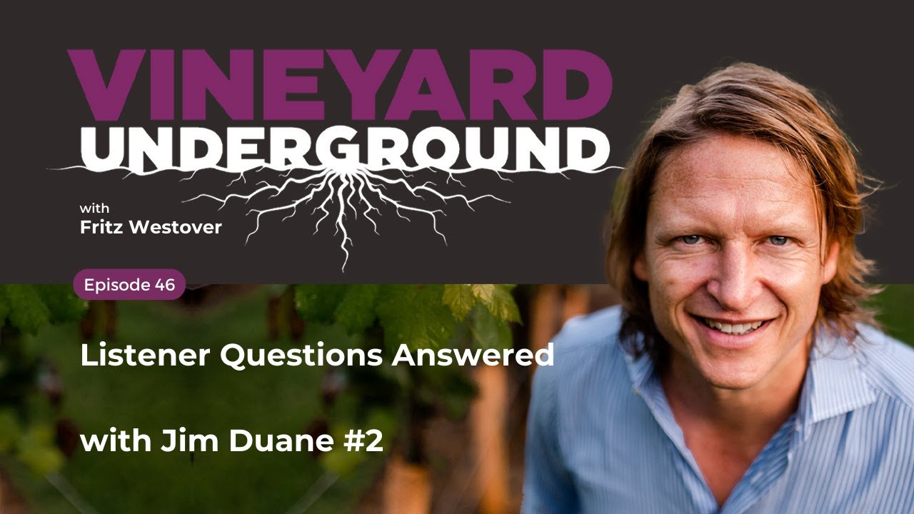 Vineyard Underground Ep46: Listener Questions Answered w/ Jim Duane #2 #viticulture  #winemaking