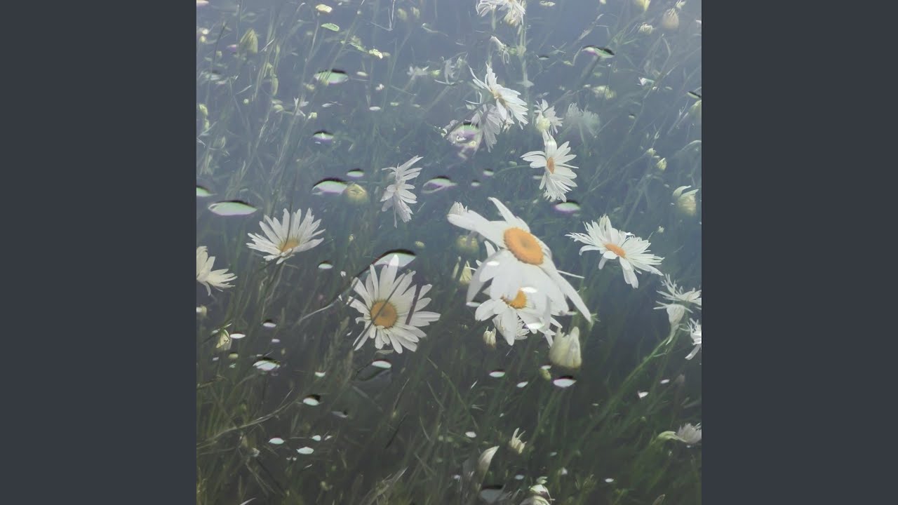 Seasons