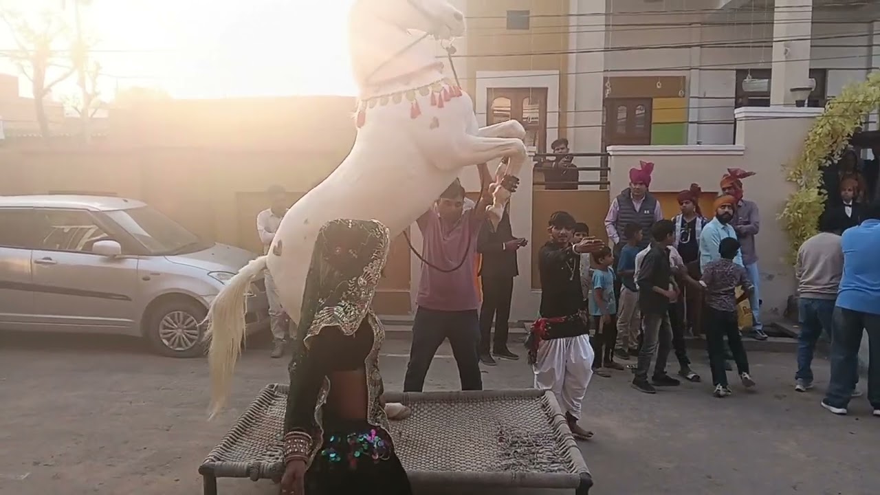 शेखावाटी घोड़ी नृत्य।। Ghodi dance।।