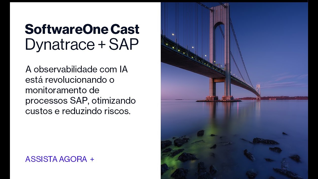Observabilidade em SAP: Transformando Processos de Negócio com IA e PowerConnect