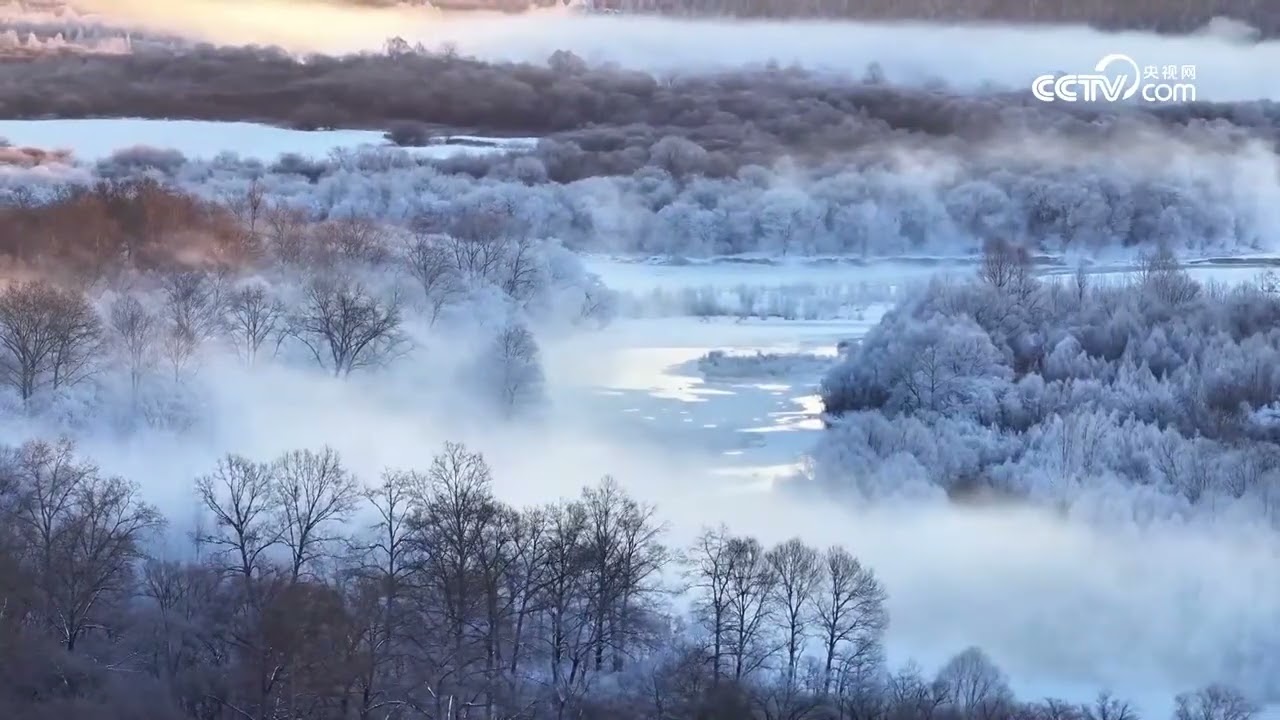 Low temperatures bring picturesque frosted scenery in Heilongjiang