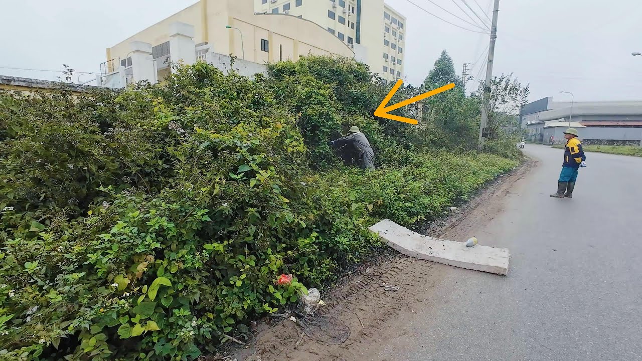 SHOCKING Discovery Inside the Wall While Cleaning Up a Sidewalk Abandoned for 10 Years!