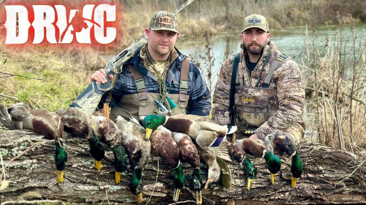 Beretta A400 Xtreme Plus 20 Gauge Review & Hunt