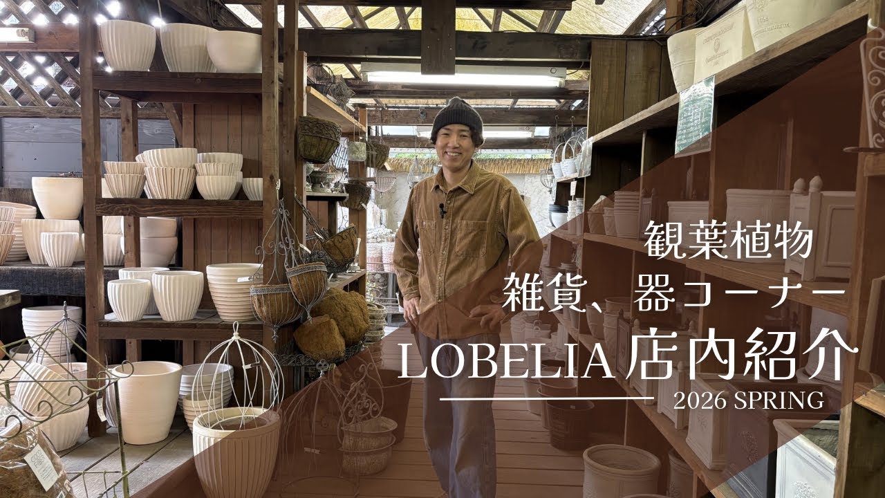 LOBELIAの店内を紹介！part2