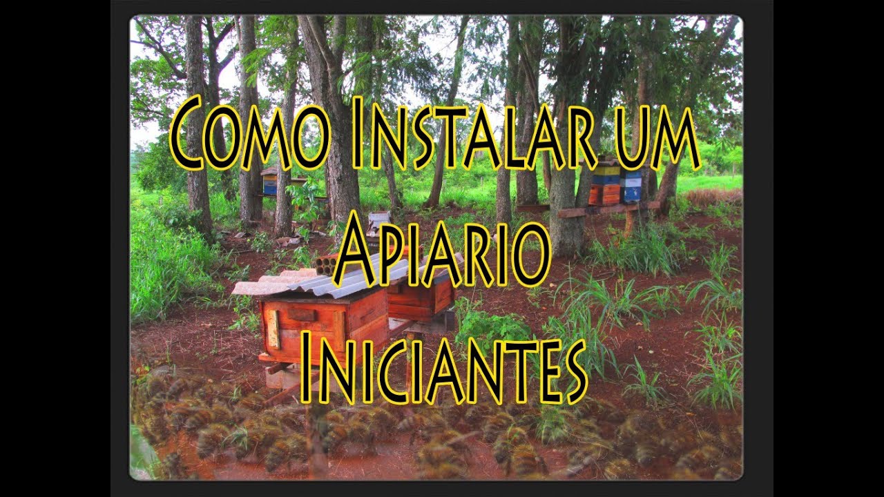 Como Instalar um Api&aacute;rio. P/Iniciantes!!
