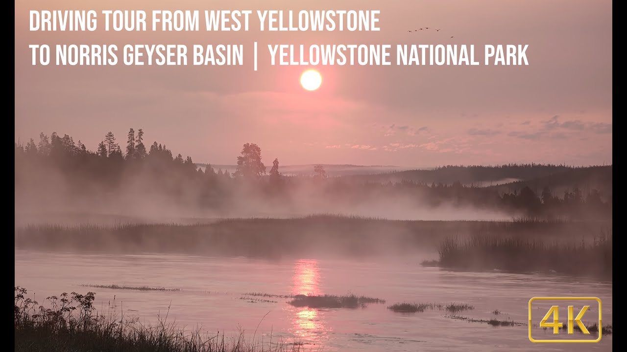 Driving Tour from West Yellowstone to Norris Geyser Basin | Yellowstone National Park