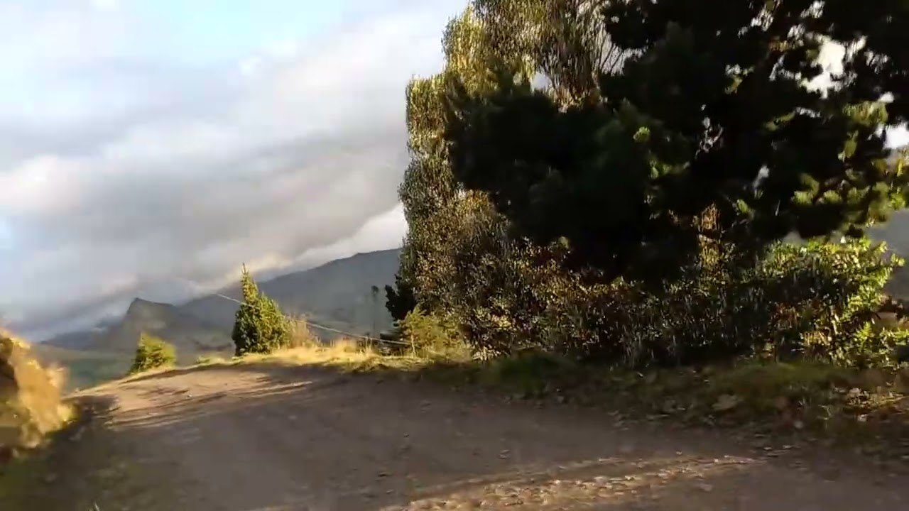 31 de enero de 2026