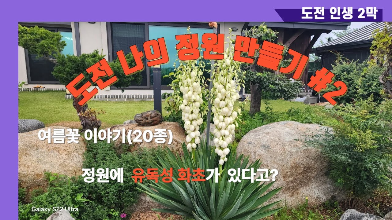 도전... 나의 정원 만들기 #2(여름 꽃과 독성 화초 관리)#야생화#gardening 